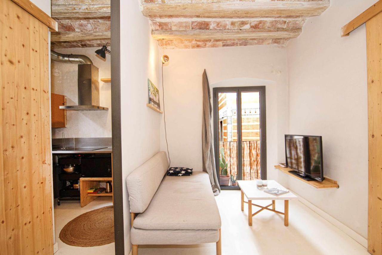 Apartamento Tr Auriga En El Barri Vell Girona Bagian luar foto